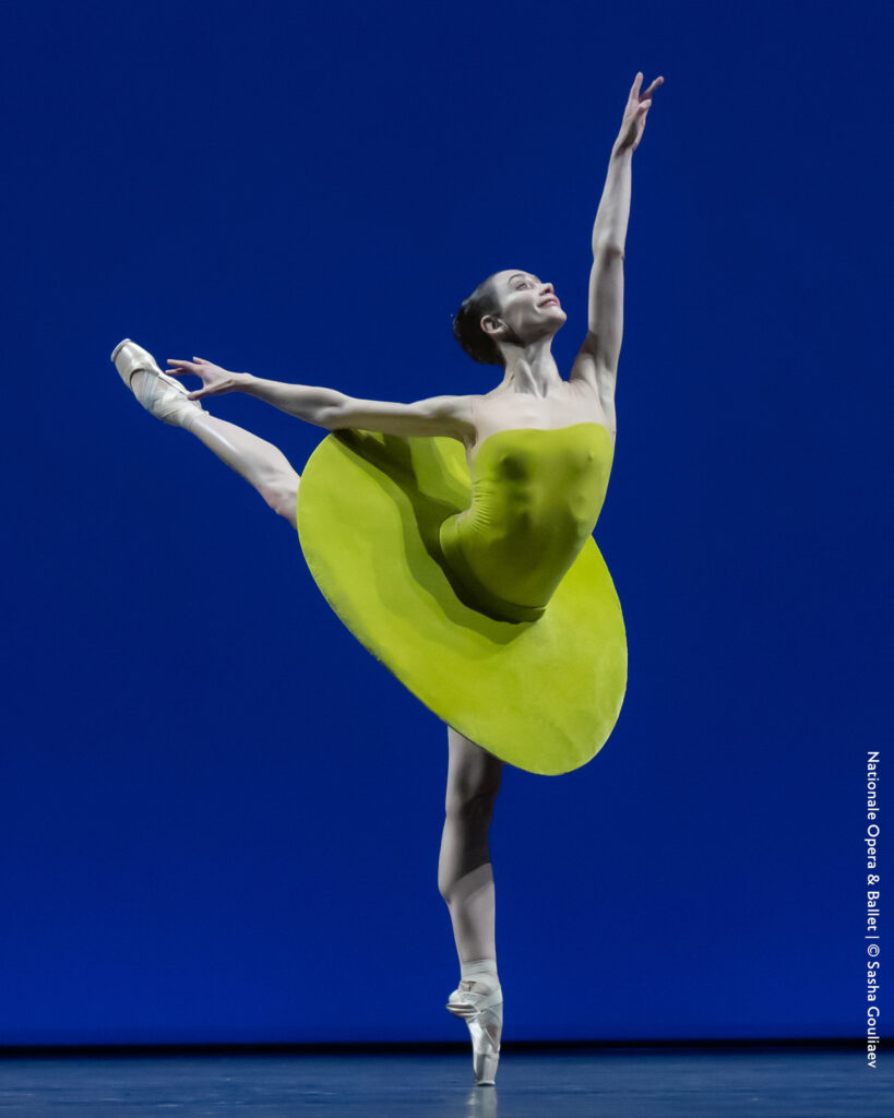 The Vertiginous Thrill of Exactitude (Photo by Sasha Gouliaev)